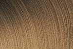 Redken SEQ Gloss 08N